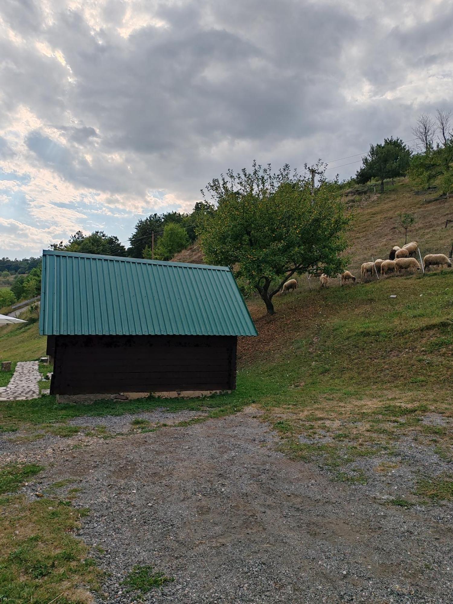 Bungalovi Vukovic Mojkovac Buitenkant foto